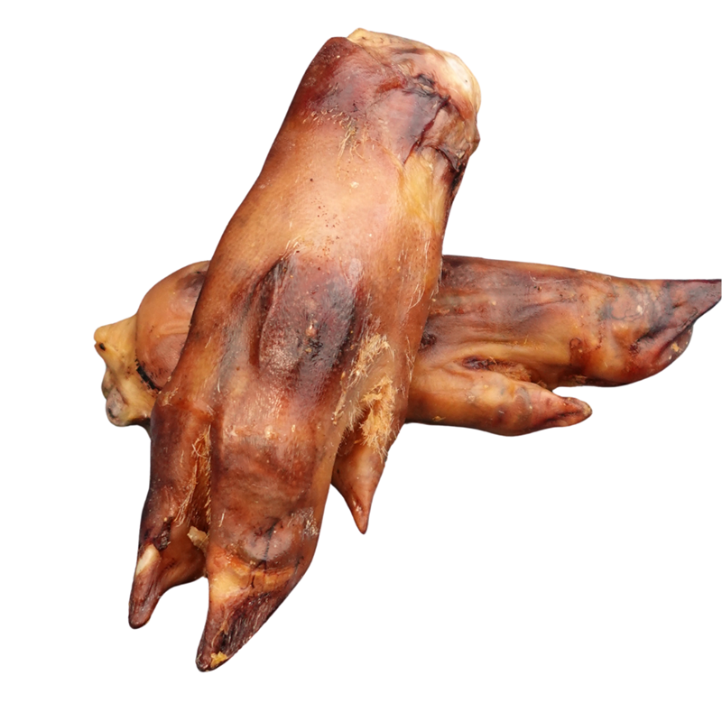 Pieds de cochon pour chien (Porc)