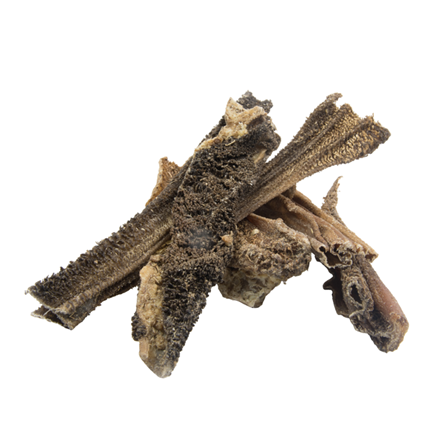 Panse d'agneau pour chien - Agneau