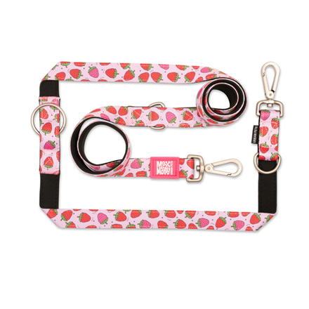 Laisse multi-fonction pour chien Matrix 2.0 - Fraise