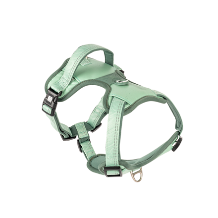 Harnais sport pour chien - Matrix 2.0 - Jade