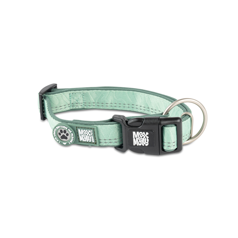 Collier pour chien Matrix 2.0 (Jade, L)