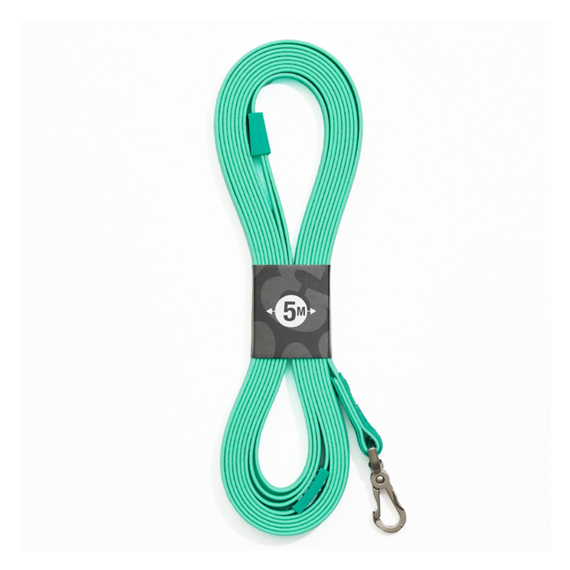 Longe avec poignée pour chien - Matrix 2.0 (Turquoise , 5 m)