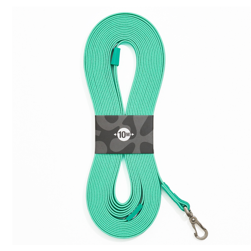 Longe avec poignée pour chien - Matrix 2.0 (Turquoise , 10 m)