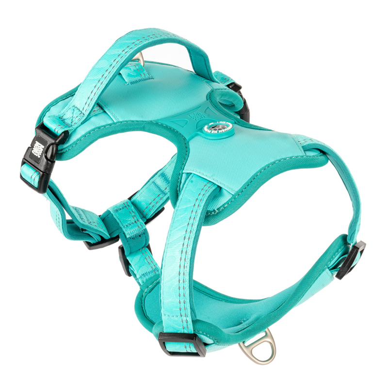 Harnais sport pour chien - Matrix 2.0 (Turquoise , L, Turquoise )