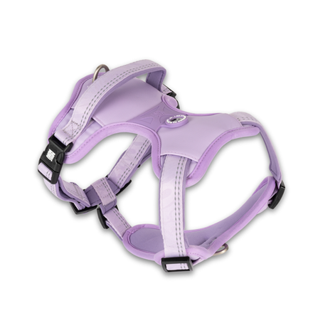 Harnais sport pour chien - Matrix 2.0 - Lavande