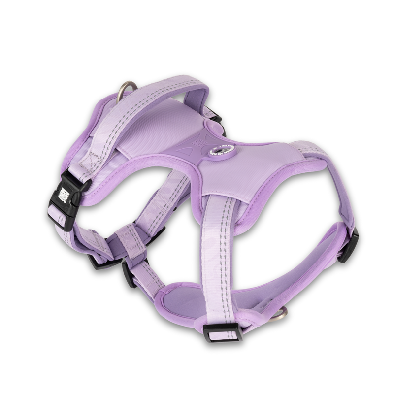 Harnais sport pour chien - Matrix 2.0 (Lavande, M)
