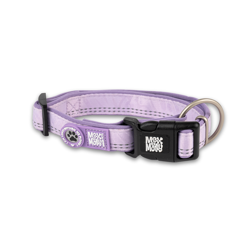 Collier pour chien Matrix 2.0 (Lavande, XS)