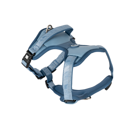 Harnais sport pour chien - Matrix 2.0 - Ocean