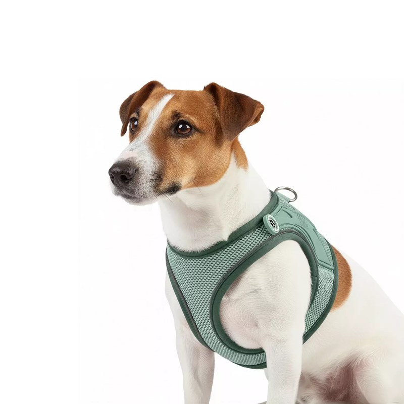Harnais AIR VEST pour chien - MATRIX 2.0 (Jade, M)
