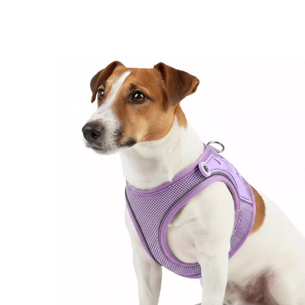 Harnais AIR VEST pour chien - MATRIX 2.0 - Lavande