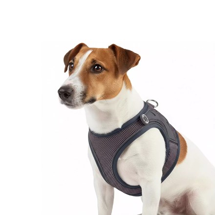 Harnais AIR VEST pour chien - MATRIX 2.0 - Stone