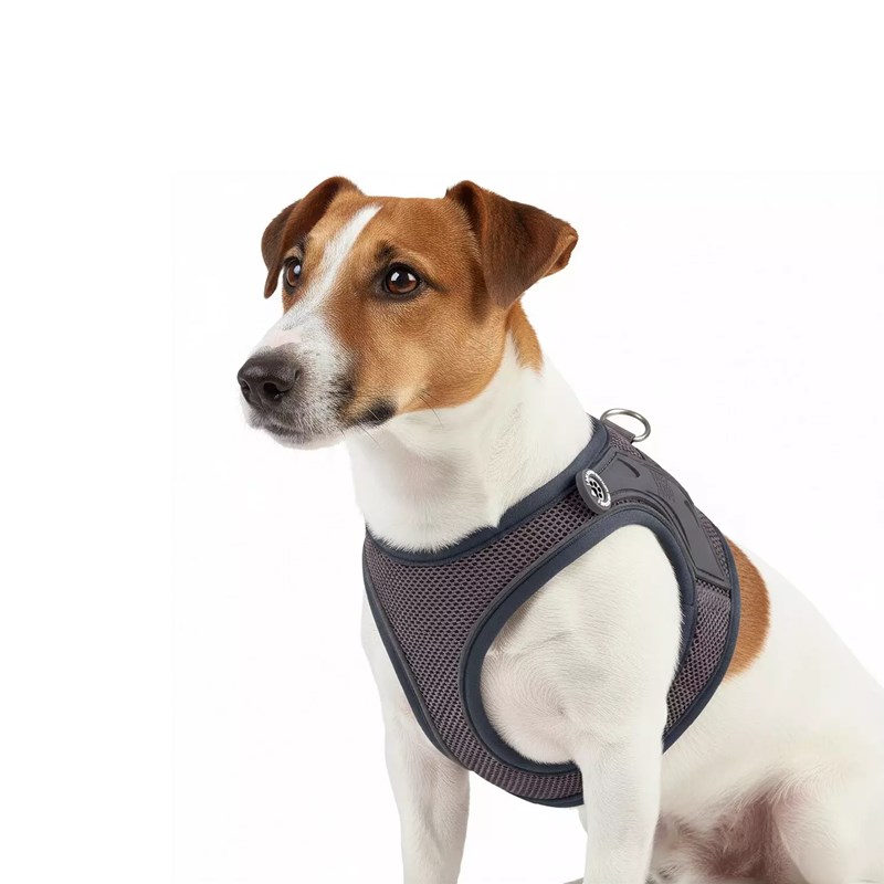 Harnais AIR VEST pour chien - MATRIX 2.0 (Stone, XXS)