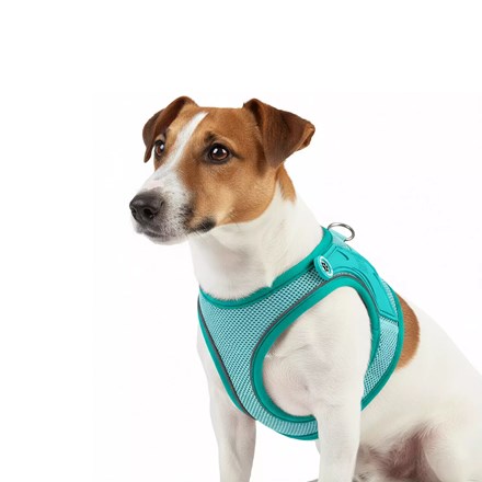 Harnais AIR VEST pour chien - MATRIX 2.0 - Turquoise 