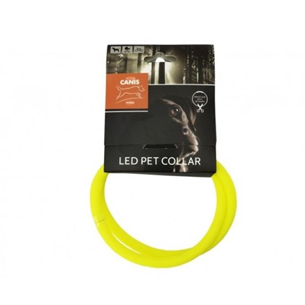 Collier LED USB pour chien jaune