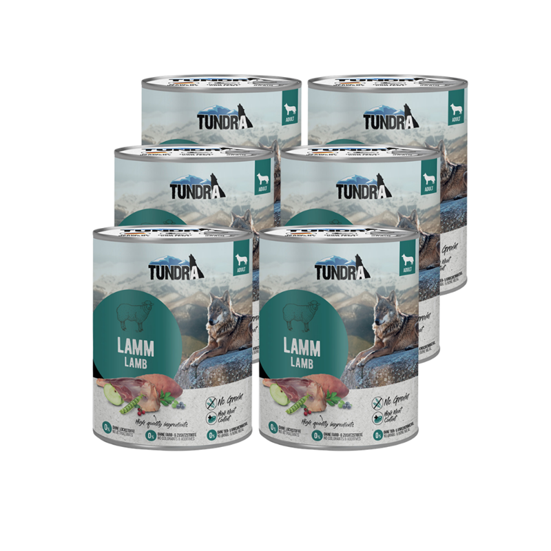 Boite pour chien - Agneau (800 g, Agneau)