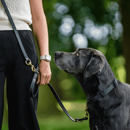 Laisse pour chien en biothane 3 positions - Noir
