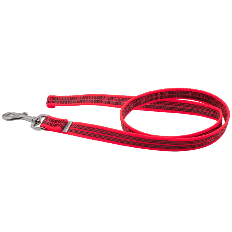 Laisse antidérapante pour chien (Rouge, 1 m)