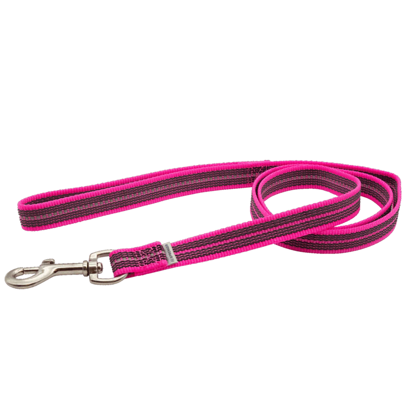 Laisse pour chien antidérapante (Rose, 2 m)