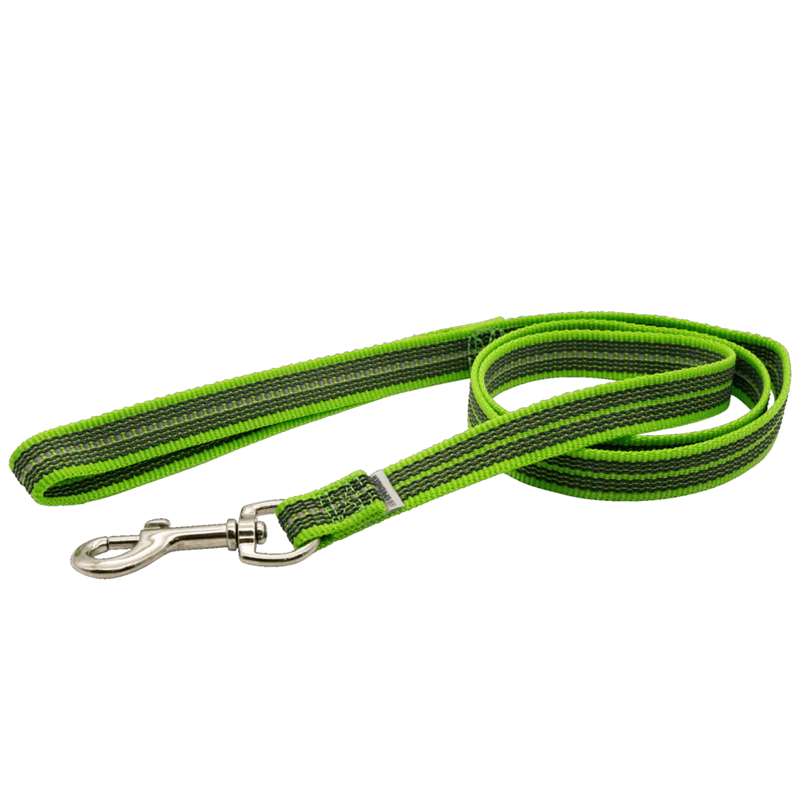 Laisse pour chien antidérapante (Vert, 2 m)