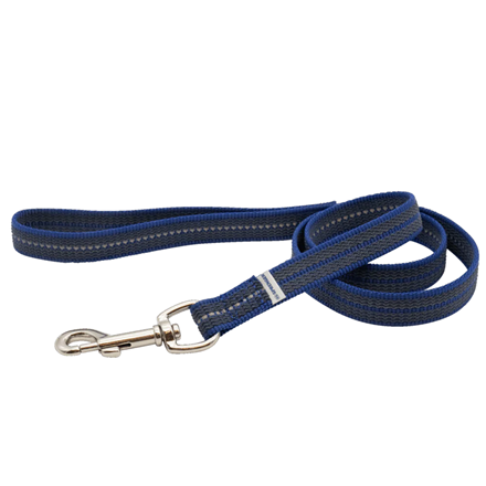 Laisse pour chien antidérapante - Bleu