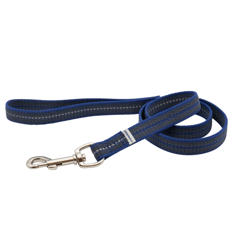 Laisse pour chien antidérapante (Bleu, 2 m)