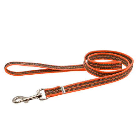 Laisse pour chien antidérapante - Orange