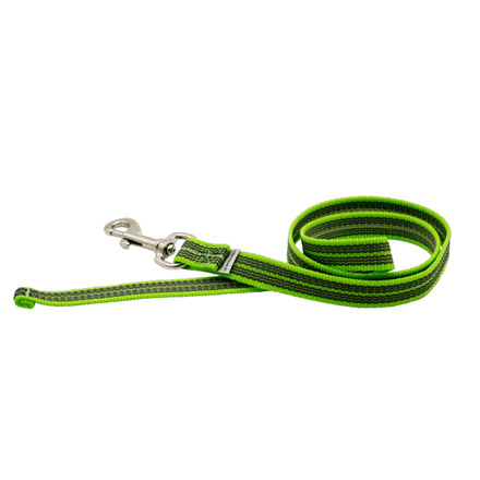 Laisse antidérapante pour chien - Vert
