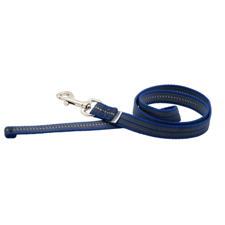 Laisse antidérapante pour chien - Bleu
