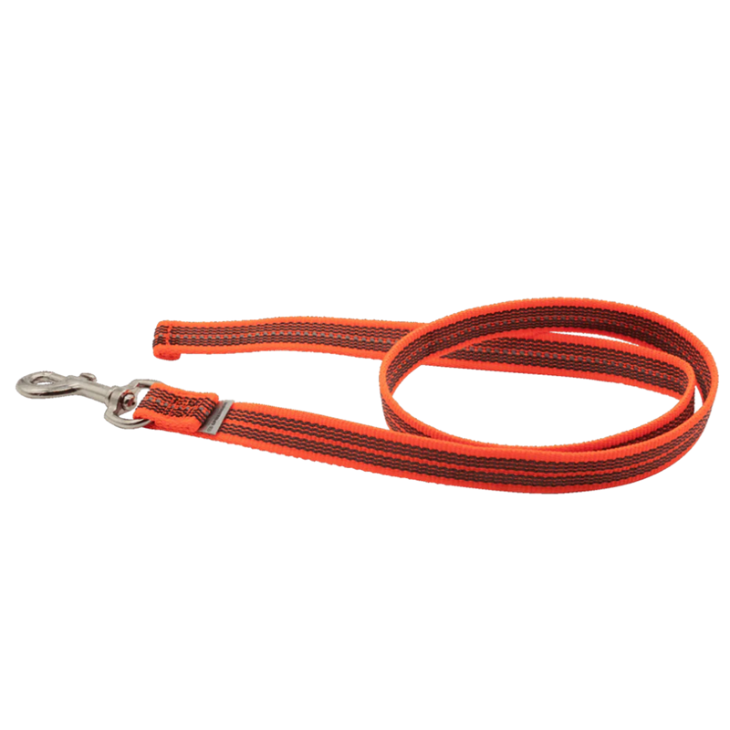 Laisse antidérapante pour chien (Orange, 2 m)