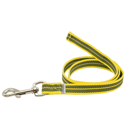 Laisse antidérapante pour chien - Jaune