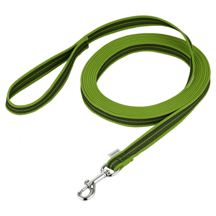 Longe antidérapante pour chien - Vert