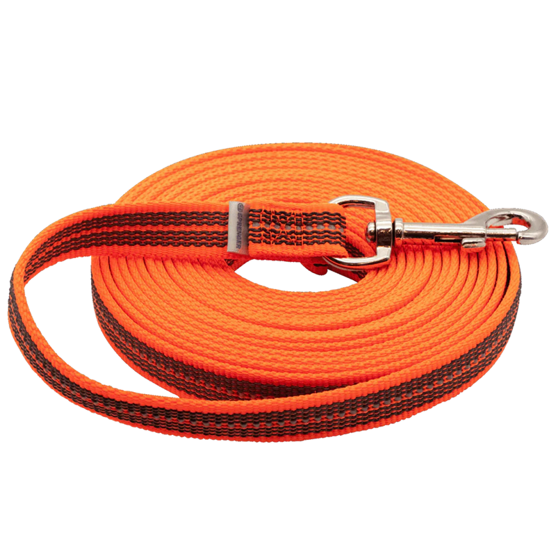 Longe antidérapante pour chien (Orange, 10 m)