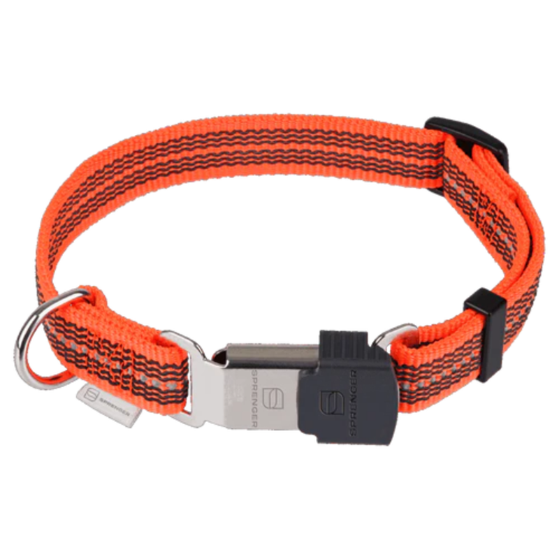 Collier pour chien antidérapant (Orange, M-L)