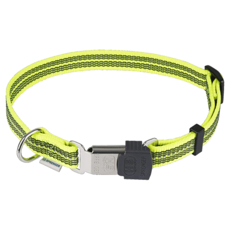 Collier pour chien antidérapant (Jaune, M-L)