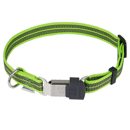 Collier pour chien antidérapant - Vert