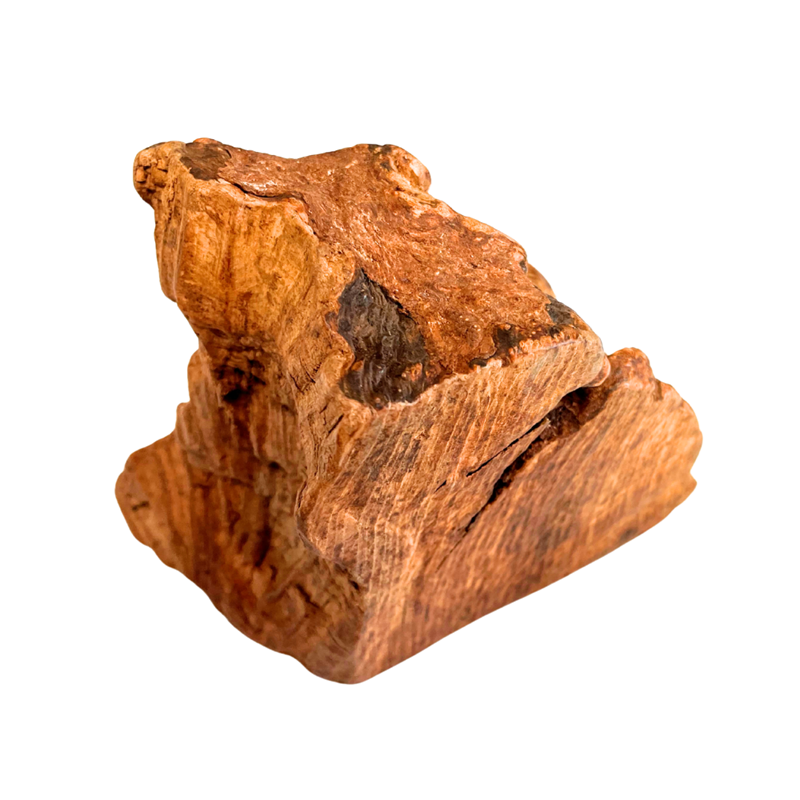 Racine d&amp;#39;Arbre de Bruyère pour chien (L, 500 g)