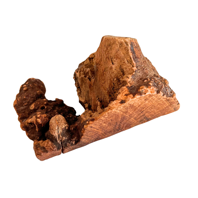 Racine d&amp;#39;Arbre de Bruyère pour chien (M, 350 g)