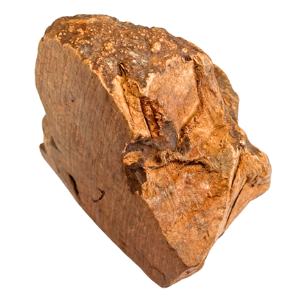 Racine d'Arbre de Bruyère pour chien