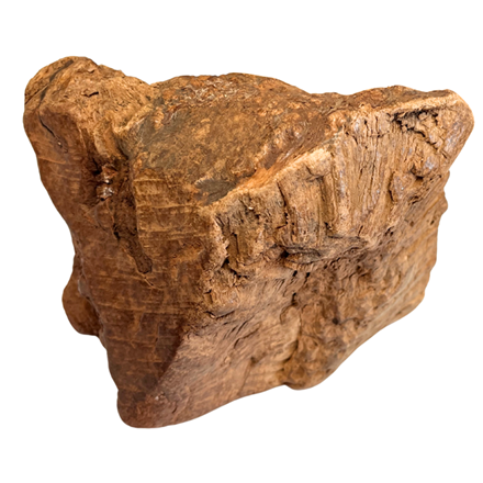 Racine d'Arbre de Bruyère pour chien