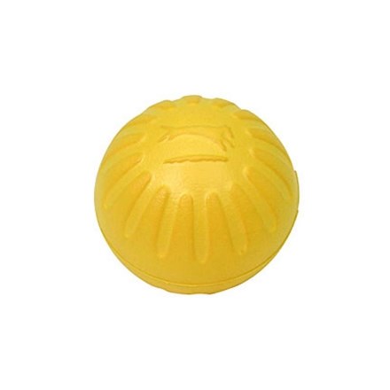 Balle en mousse Fantastic pour chien