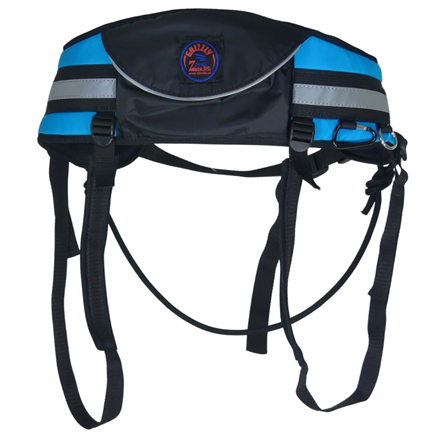 Ceinture de canicross - Grizzly - Turquoise 