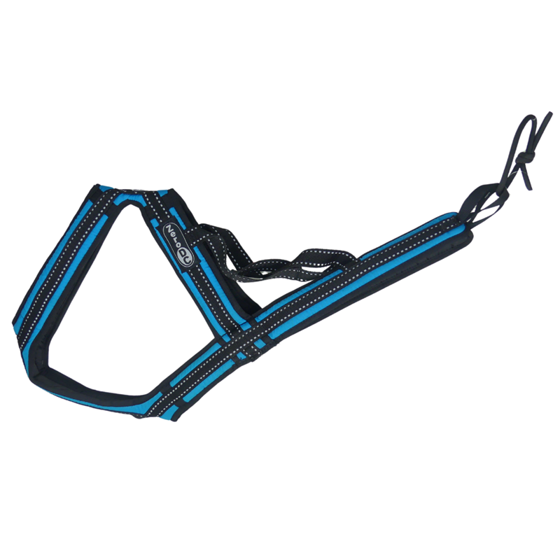 Harnais de canicross - Cross (Turquoise , L)