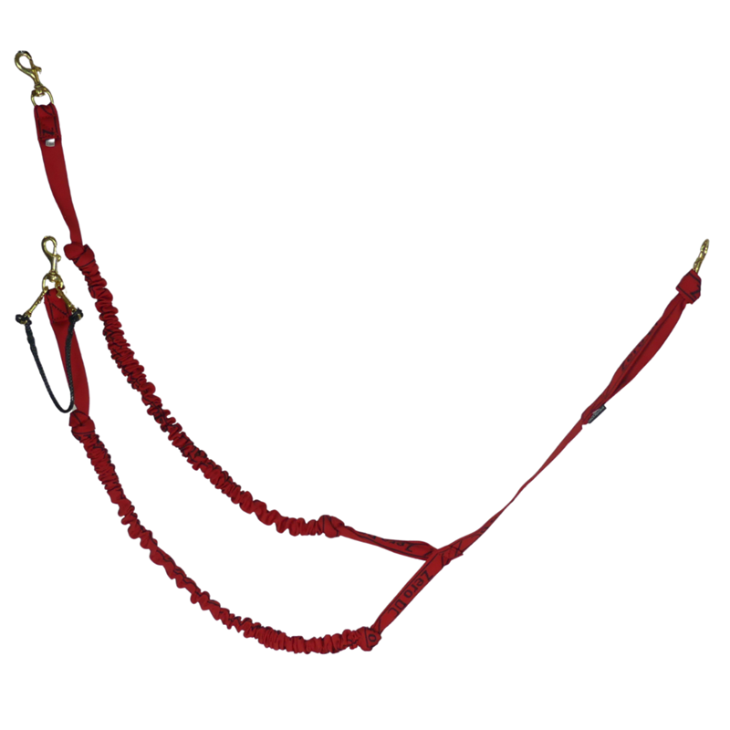 Tendeur double Petit chien - 2,5m - 3 mousquetons