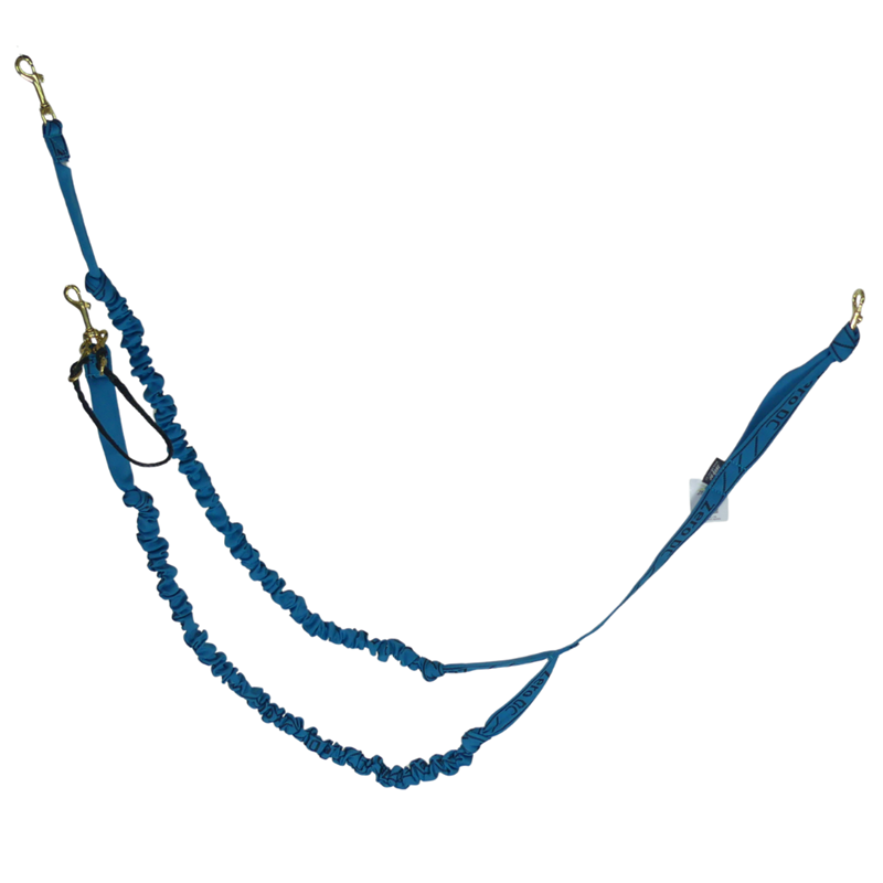 Tendeur double Grand chien - 2,5m - 3 mousquetons