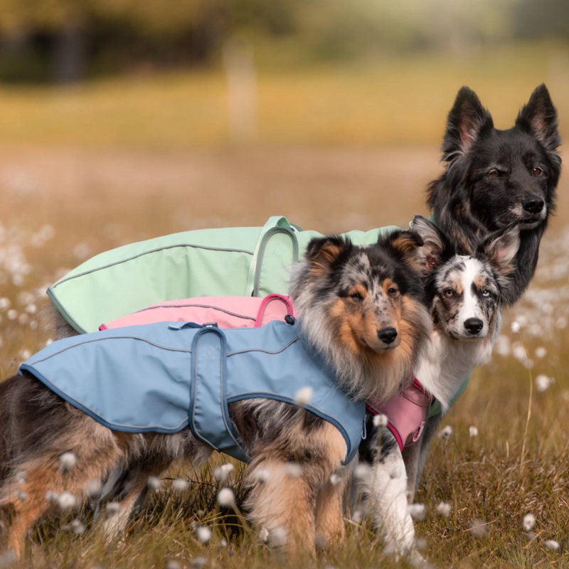 Manteau de pluie pour chien Matrix 2.0 (Sable, XXS, 40 cm) - Photo 5