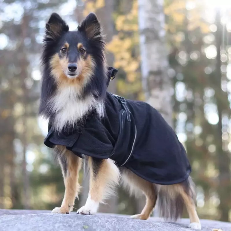 Manteau filet pour chien (T.40) - Photo 5