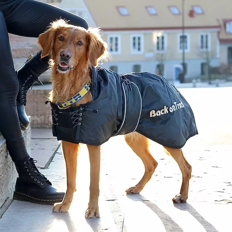 Manteau standard pour chien (T.74) - Photo 4