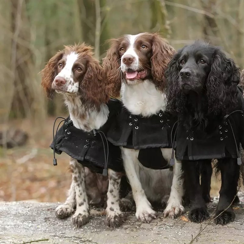 Manteau en polaire pour chien (T.25) - Photo 2