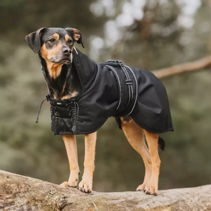 Manteau imperméable pour chien (T.78) - Photo 3