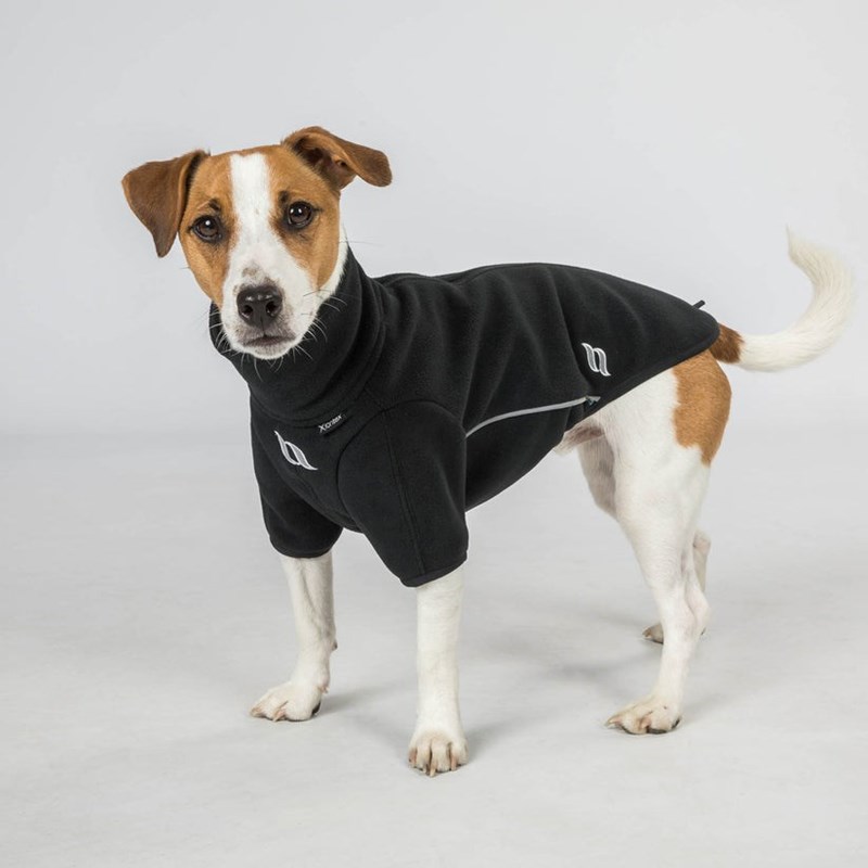 Pull pour chien Cassie (T.25) - Photo 6